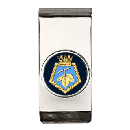 RFA Brambleleaf, Royal Navy Money Clip